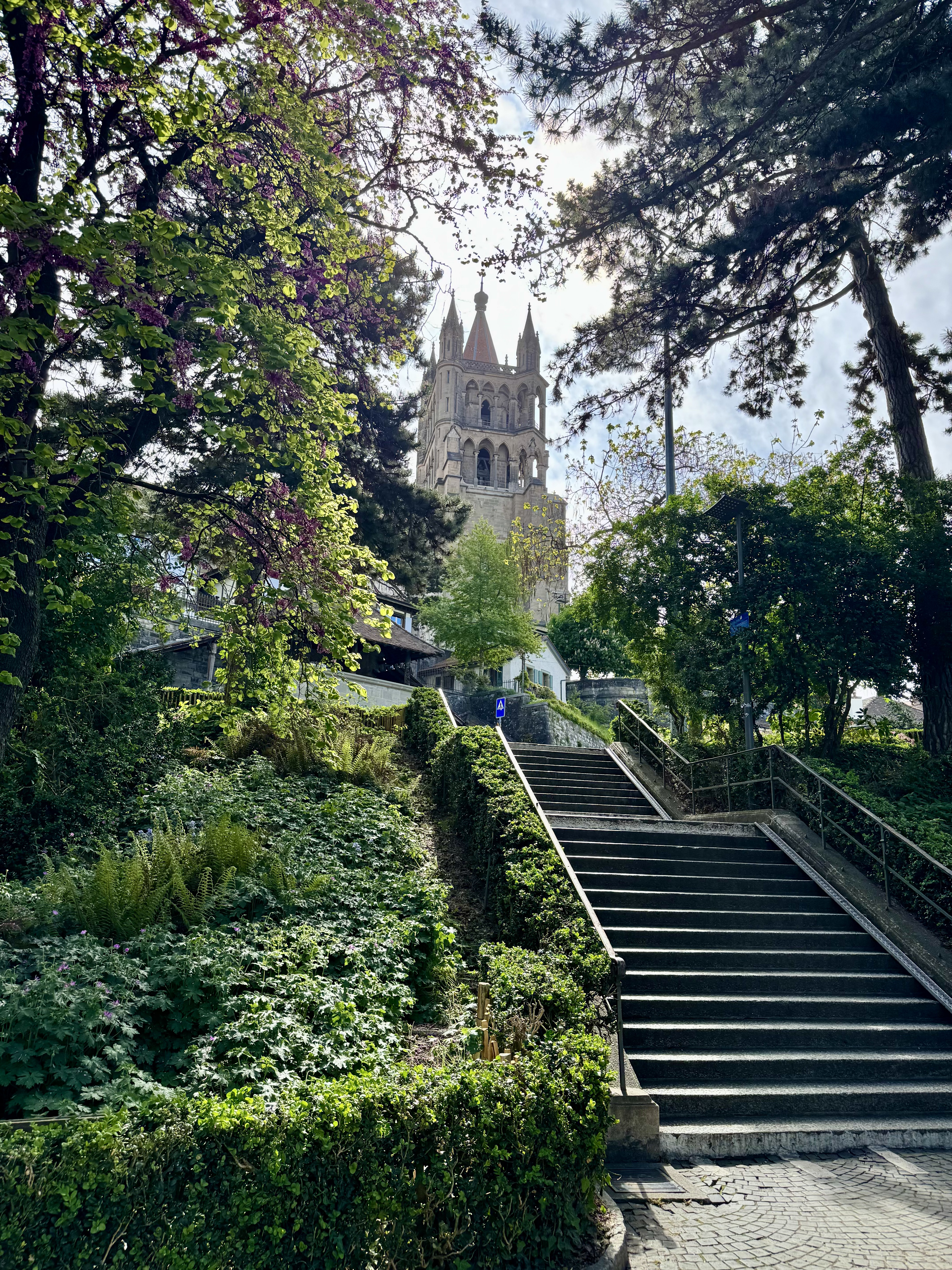 Church tower framed by trees and stairs