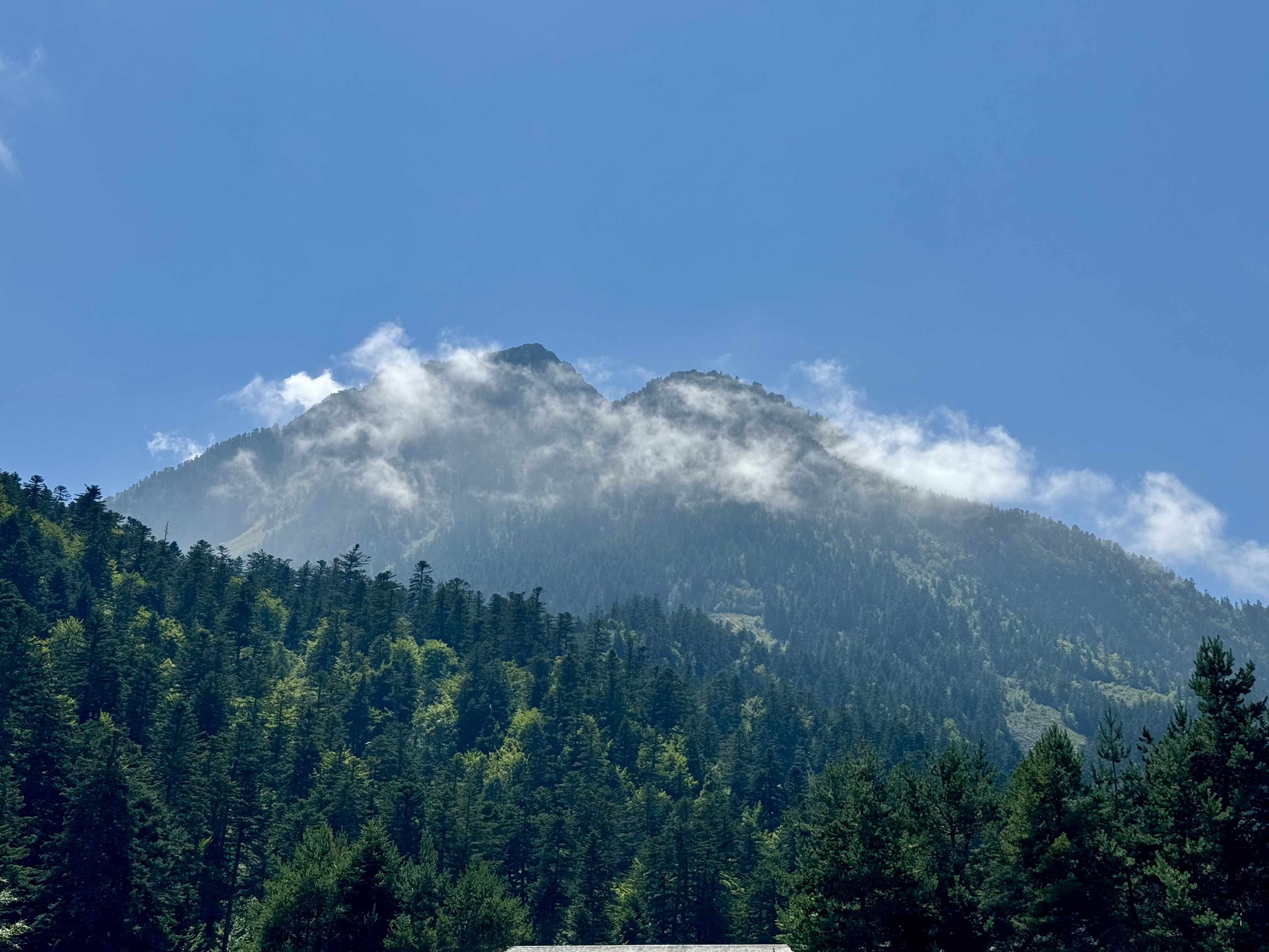 Mountain landscape with mist